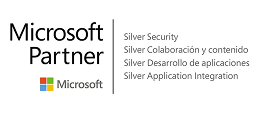 Logo Microsoft Partner - Silver Security